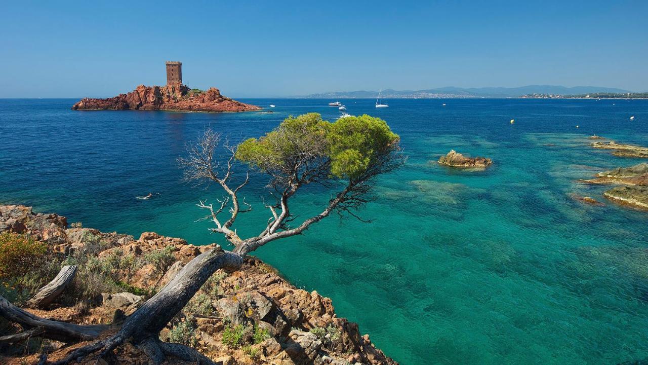 Appartement Zen A Frejus Avec Jardin, Piscine, Tennis, Proche Mer Exteriér fotografie